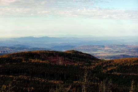 Krkonoše z Czernice